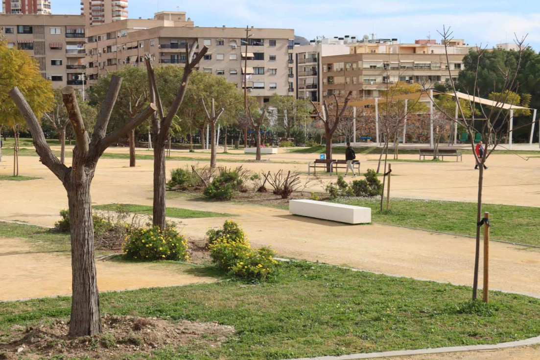 replantación arbolado el moralet benidorm