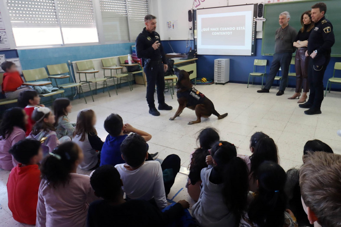 La Unidad Canina de la Policía Local acerca su labor a los escolares de Benidorm con talleres educativos