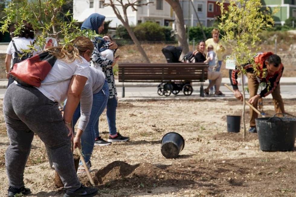 Jardí dels Nous Vilers arbre per naixement villajoyosa
