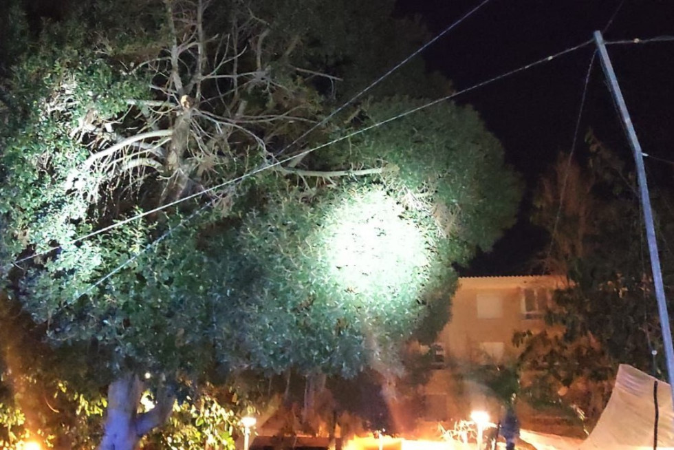 incidencias temporal viento 12 febrero l'alfàs