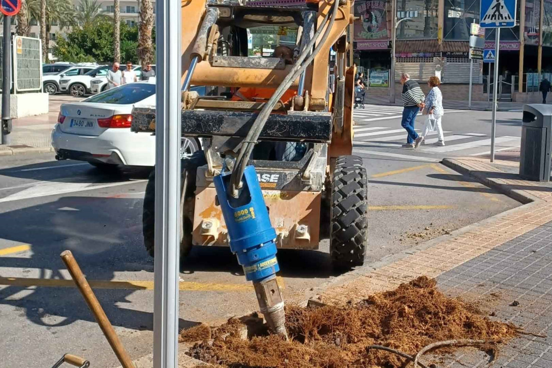 renovación arbolado benidorm