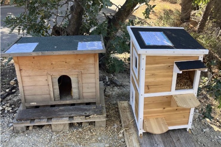 Altea refuerza su plan felino con la instalación de 15 nuevas casitas en colonias autorizadas