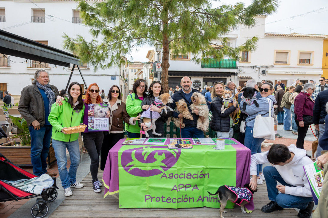 san antón l'alfàs del pi