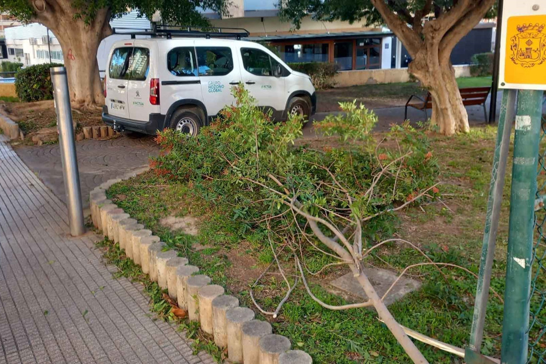 benidorm desperfectos alerta naranja