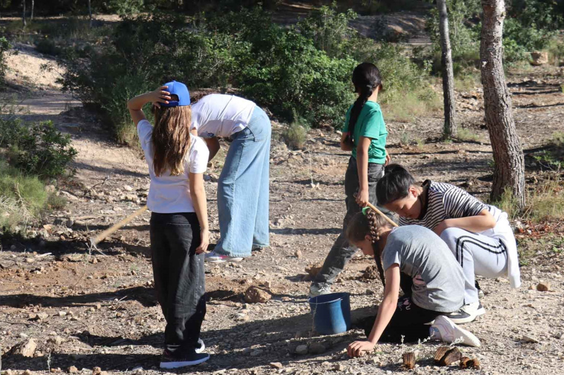 Benidorm celebra el Día del Árbol con la plantación de 300 ejemplares en El Moralet