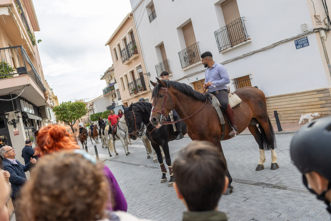 sant antoni l'alfàs del pi