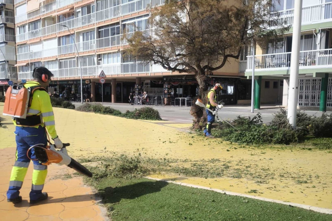 limpieza renovación arbolado benidorm