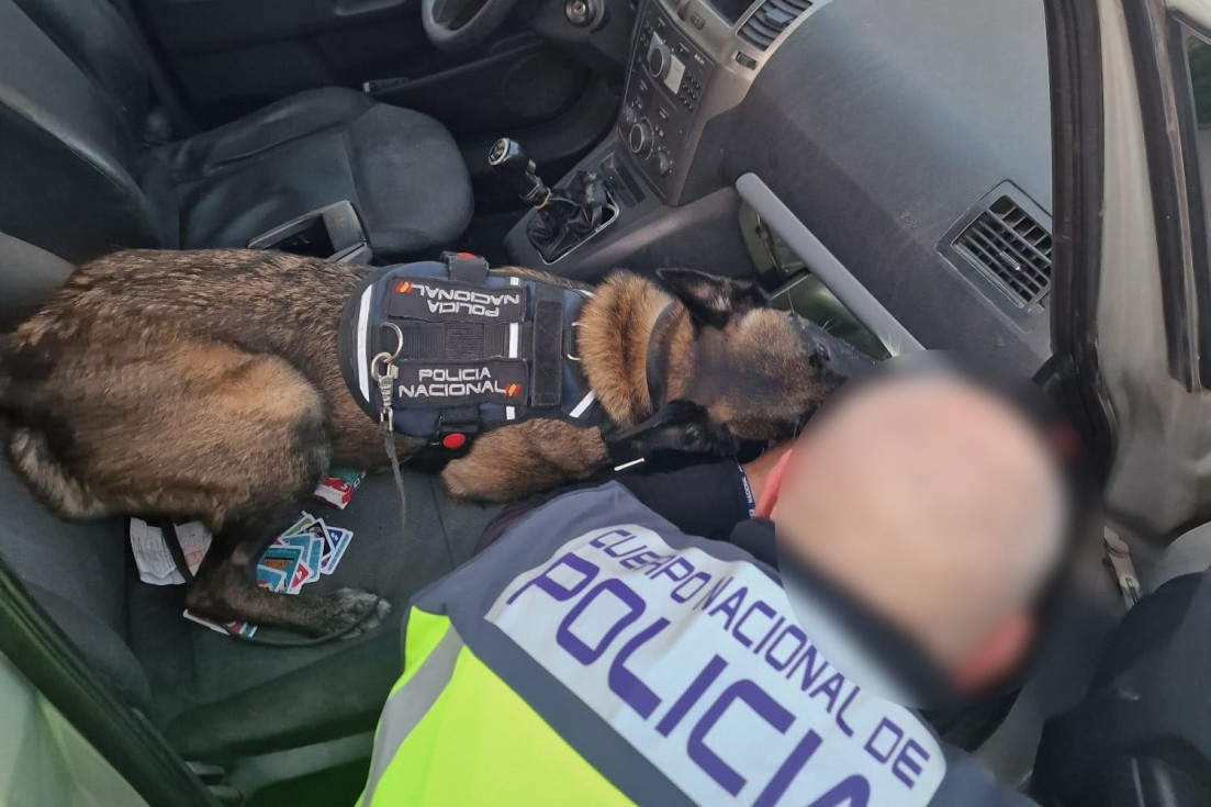 Detenido en Benidorm con 119 gramos de cocaína tras ser interceptado en un control policial