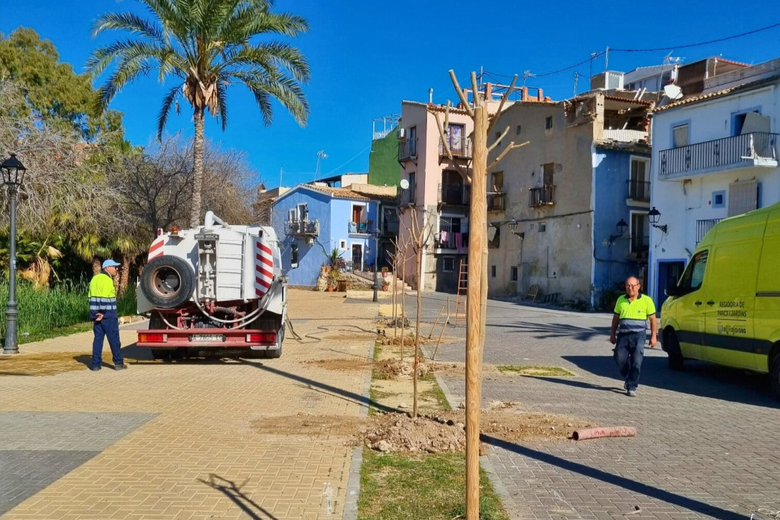 arbolado zonas sombra amadorio esquerdo villajoyosa