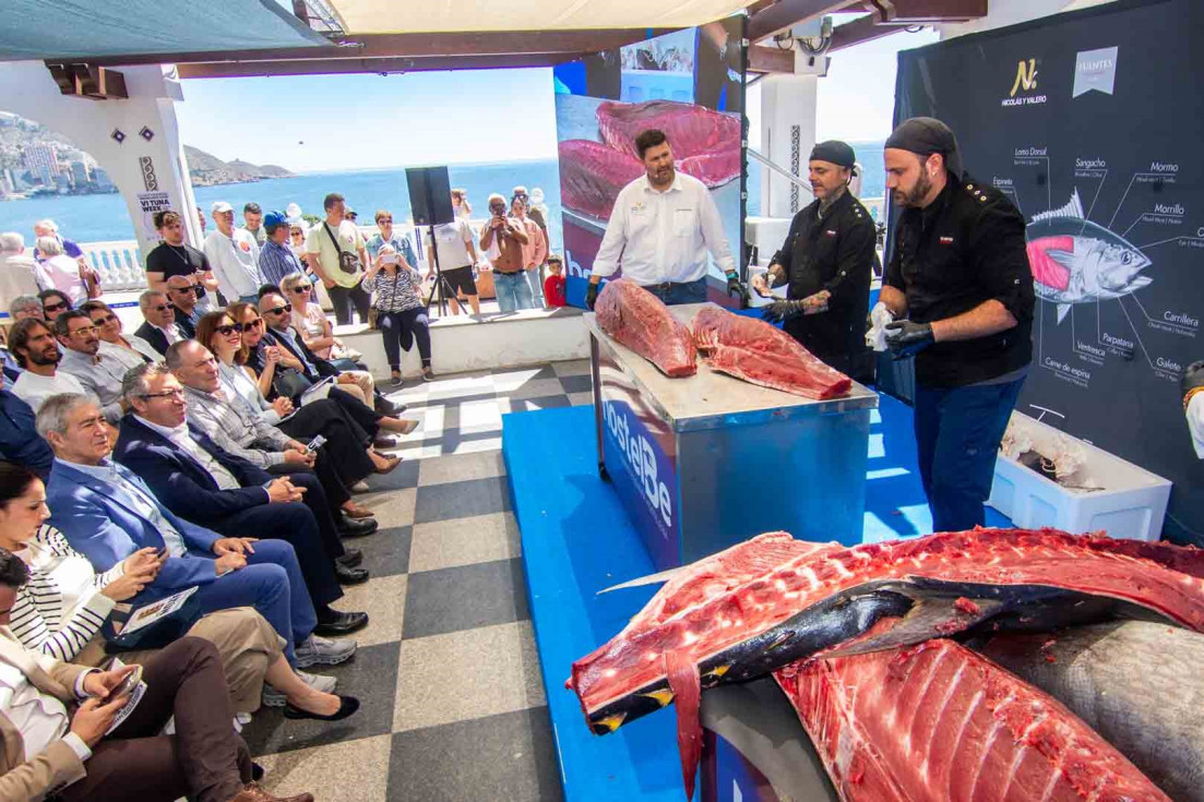 ronqueo atún 2026 benidorm