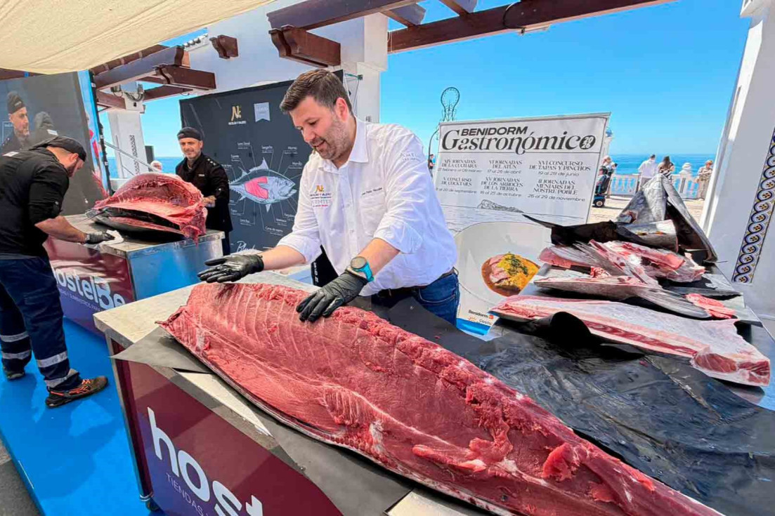 ronqueo atún benidorm 2026