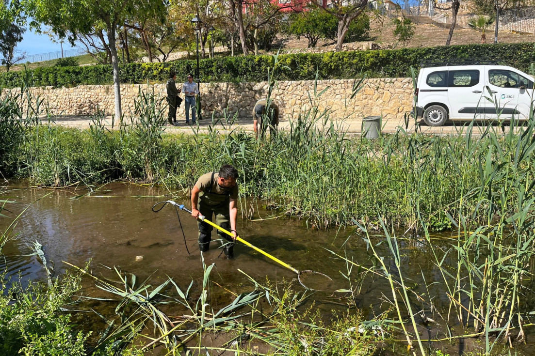 río Amadorio fauna Villajoyosa