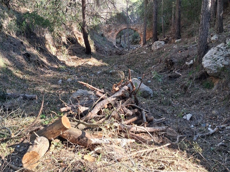 limpieza barranc plan actuaciones selvícolas altea