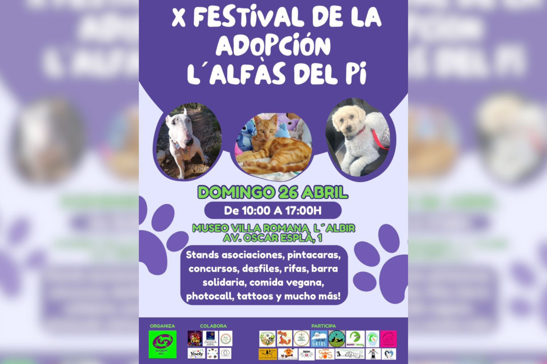 cartel X Festival Adopción l'Alfàs del Pi