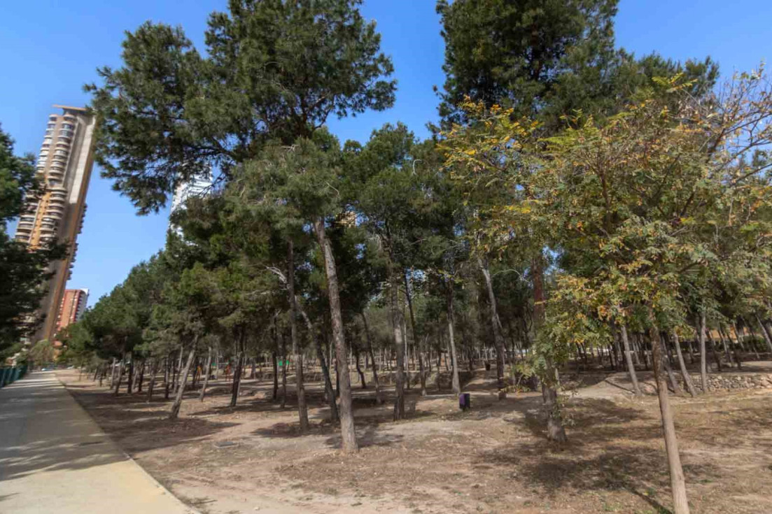 Parque de la Séquia Mare Benidorm