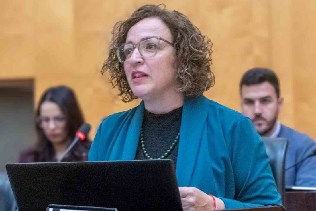 benidorm pleno extraordinario abril 2026 lourdes caselles