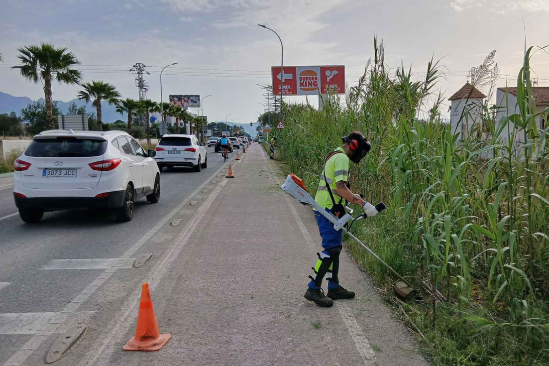 benidorm limpieza maleza acondicionamiento avenida comunidad valenciana