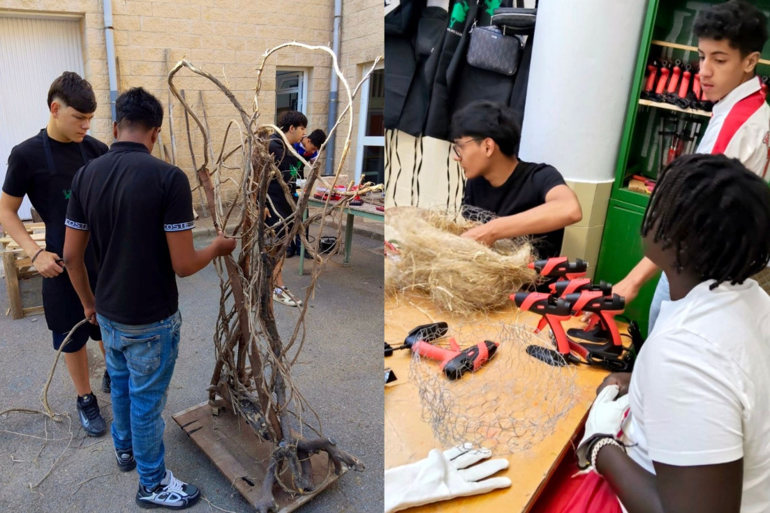 proyectos Retail Floral 360 callosa d'en sarrià