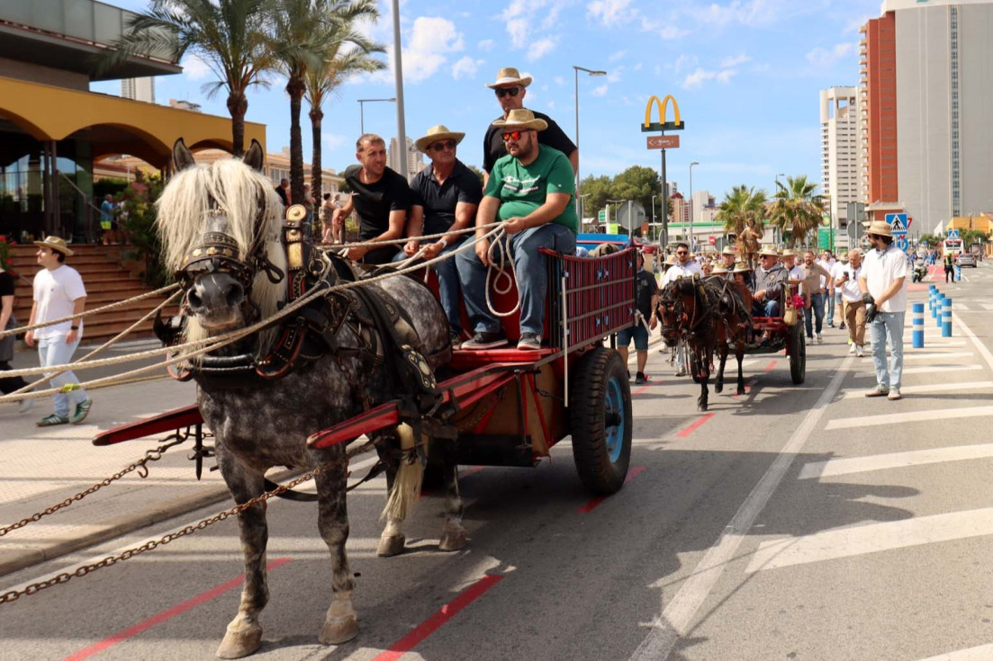 Benidorm Romería Sant Isidre Llaurador