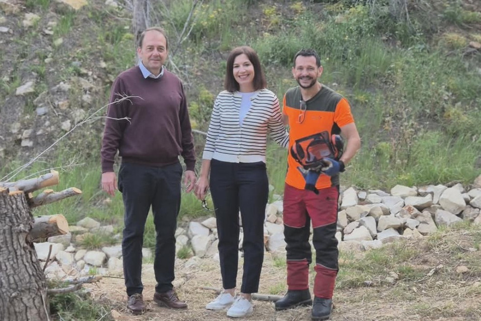limpieza retirada pinos secos Serra Gelada mónica gómez benidorm