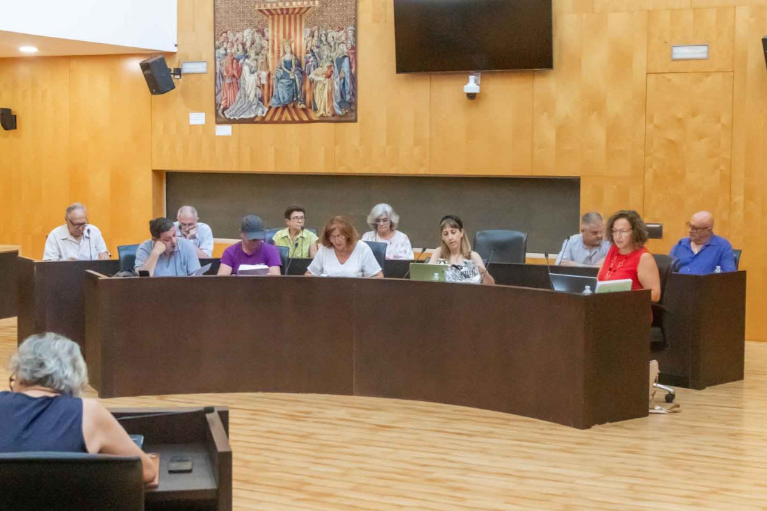 Consejo Vecinal Benidorm terrazas hostelería ocupación vía pública