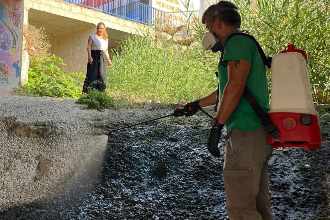 Finestrat plan mosquito tigre tratamientos preventivos verano