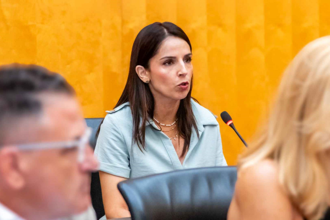aida garcía mayor pleno presupuestos benidorm junio 2026