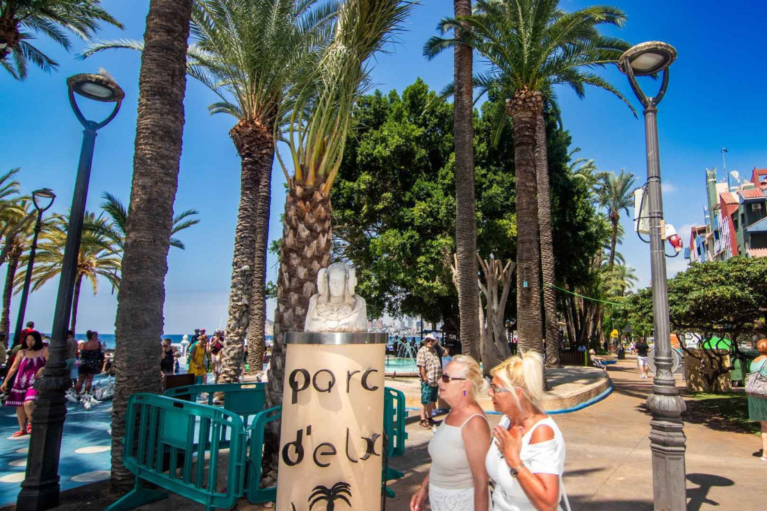 Benidorm palmeras parque de elche José Ramón González de Zárate