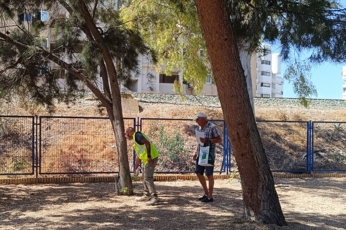 Árboles IES Marcos Zaragoza Villajoyosa