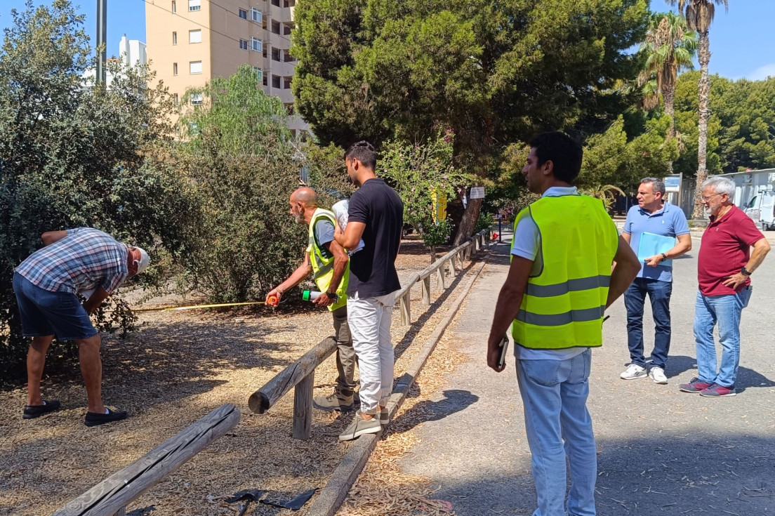 Villajoyosa Árboles IES Marcos Zaragoza