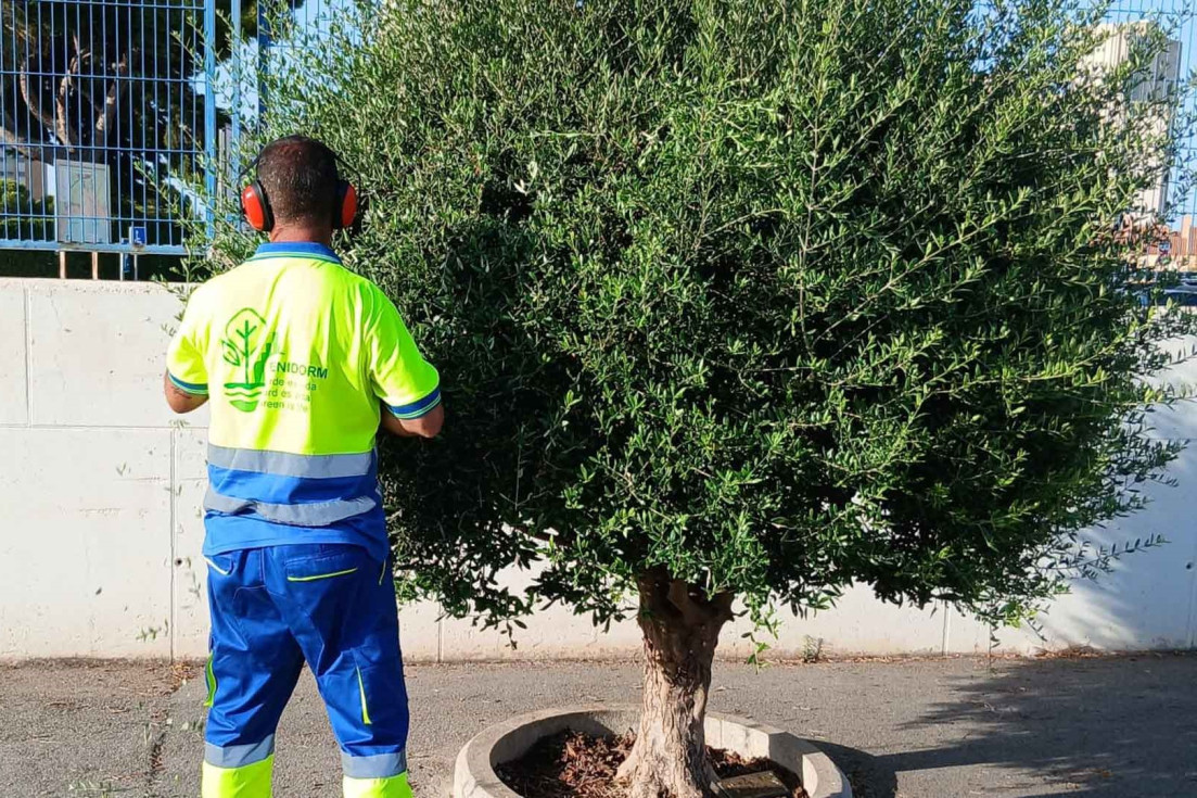 jardinería colegios benidorm agosto 2026