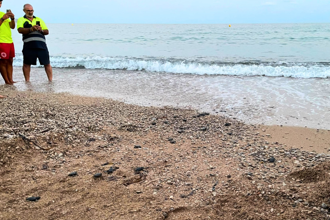 ONG Xaloc El Torres villajoyosa