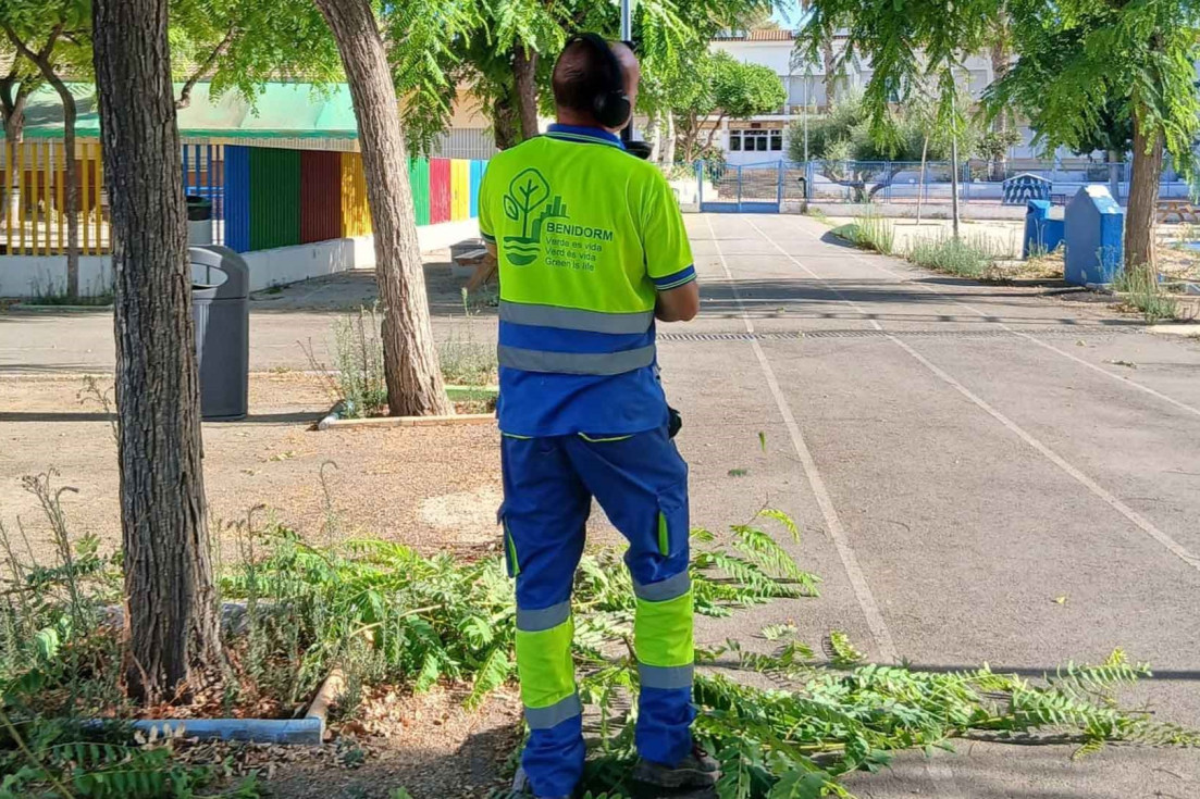 Benidorm realiza mejoras en la jardinería de 13 colegios antes del inicio del curso escolar