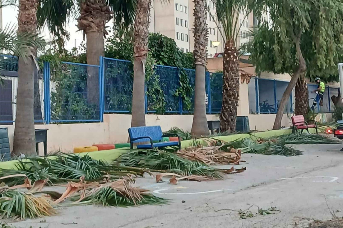 agosto 2026 jardinería colegios benidorm