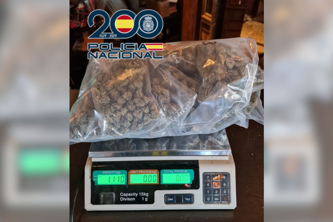 droga intervenida club canábico altea policía nacional