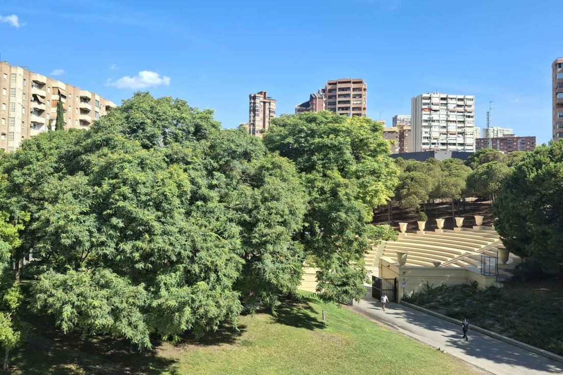 benidorm arbolado zona verde aigüera