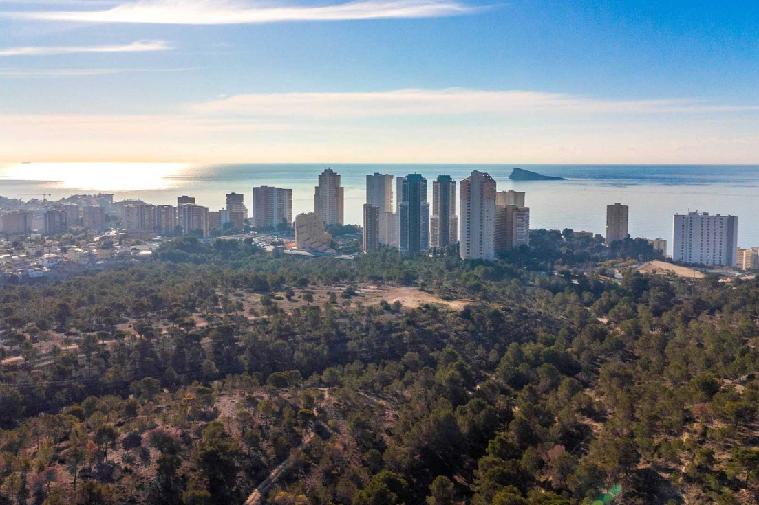 Aérea Moralet Benidorm