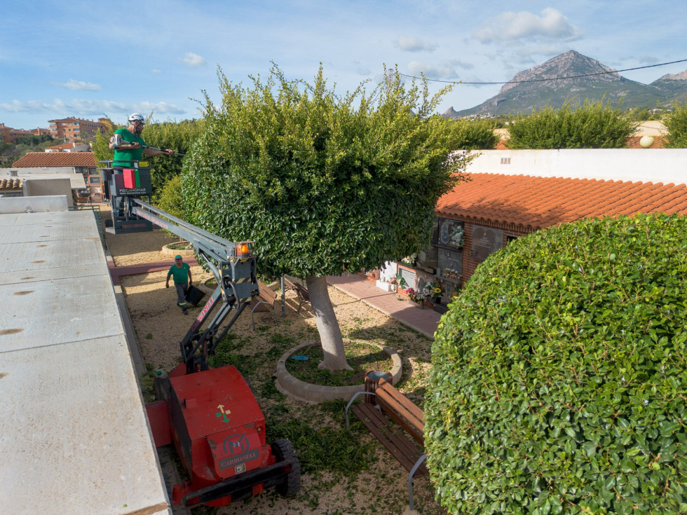 todos los santos l'alfàs preparación cementerio