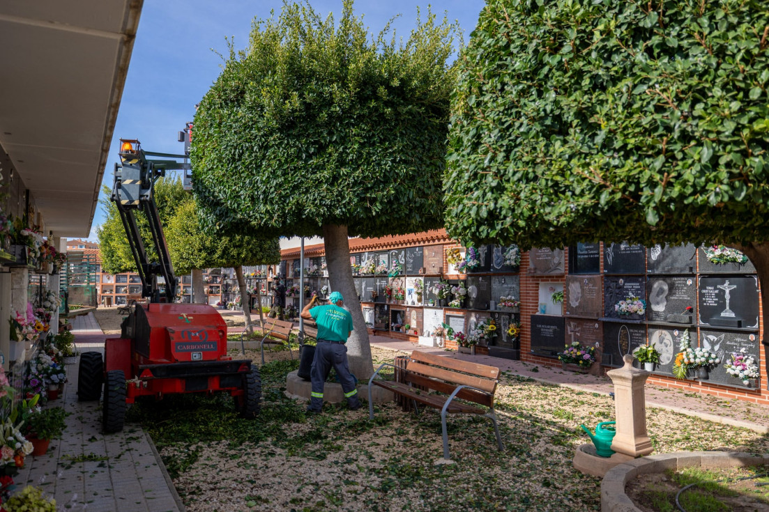 poda cementerio l'alfàs