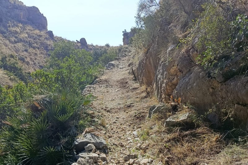 sendero Camí de les Revoltes bèrnia
