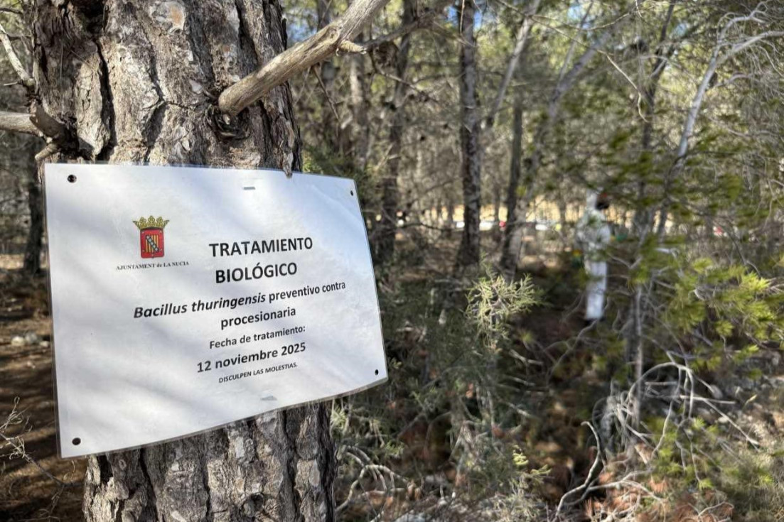 tratamiento procesionaria la nucía cartel