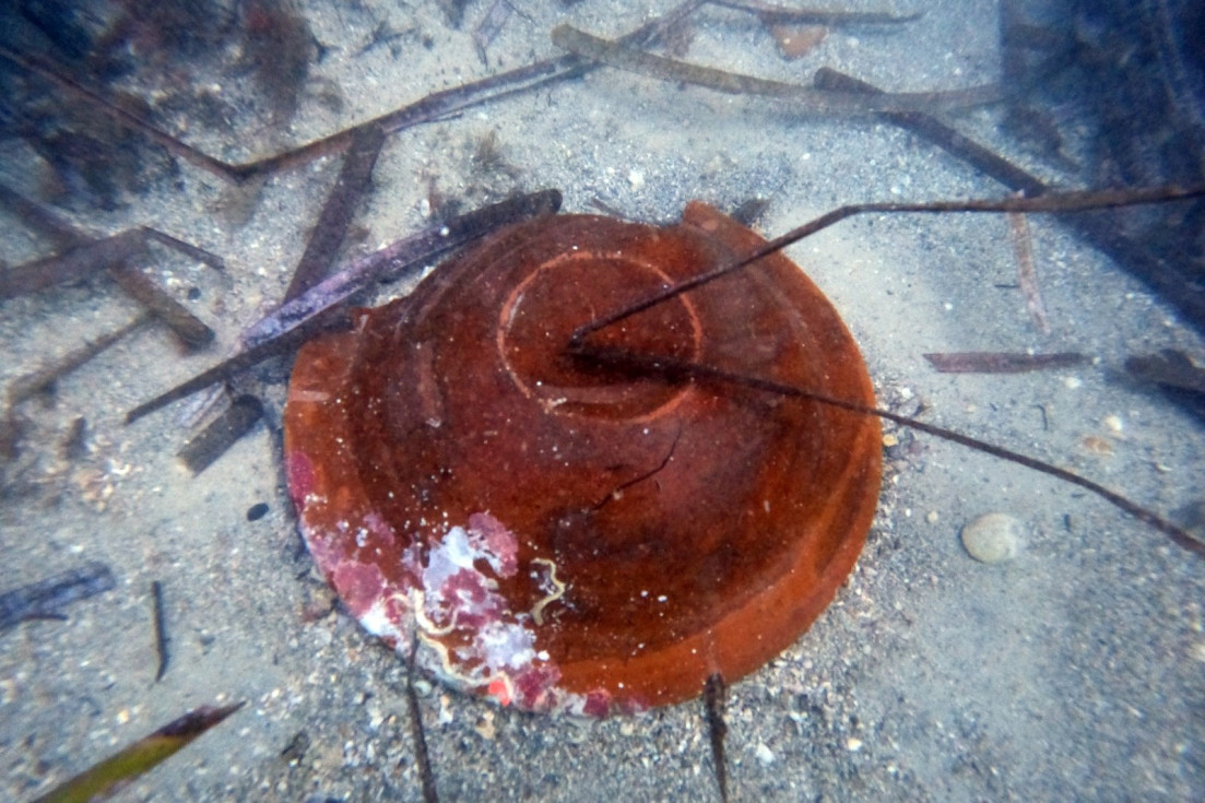 plato nuevo patrimonio subacuático villajoyosa