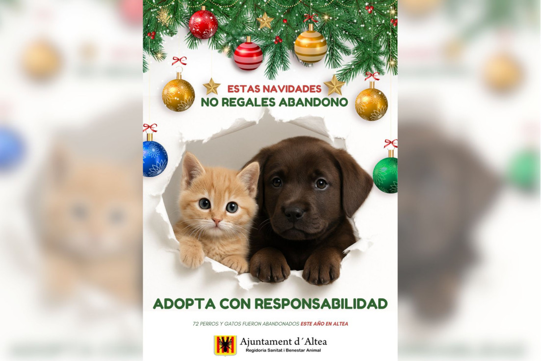 Campaña Abandono Animal Navidad 2025