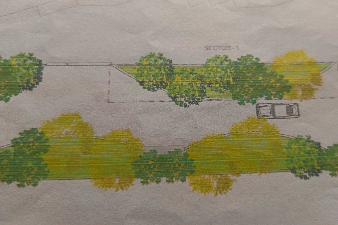 proyecto piloto renaturalización urbana calle Miguel Martorell
