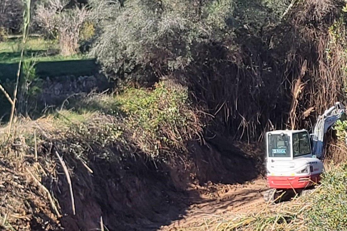 LIMPIEZA BULEVAR l'alfàs